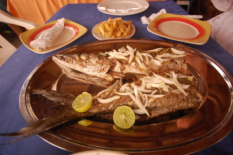 DSC_0551.JPG - Barracuda, the best fish, Kribi