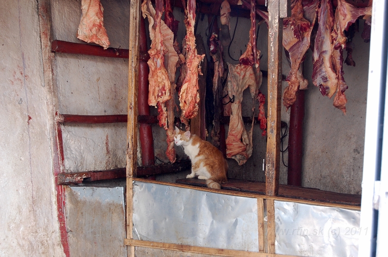 DSC_2001.JPG - slaughterhouse in Harar / bitúnok v Harare