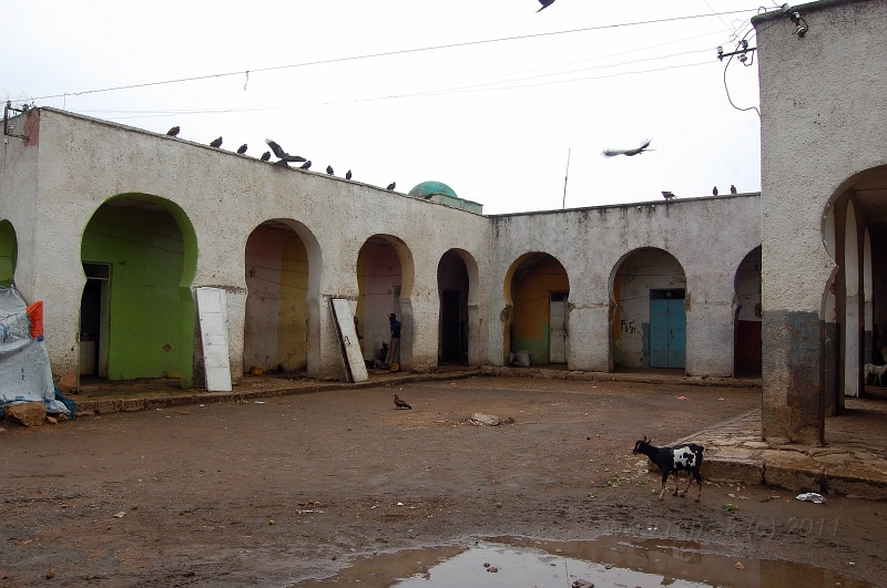 DSC_2005.JPG - slaughterhouse in Harar / bitúnok v Harare