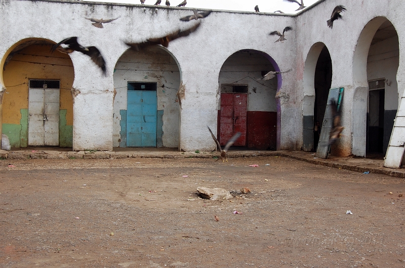 DSC_2024.JPG - slaughterhouse in Harar / bitúnok v Harare