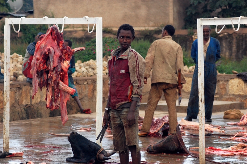 DSC_2086.JPG - slaughterhouse in Harar / bitúnok v Harare
