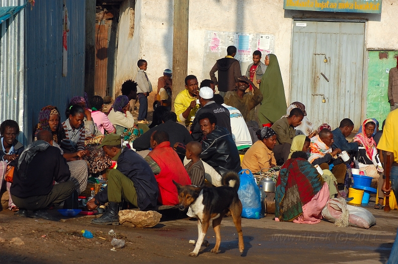 DSC_2116.JPG - local market in Harar / miestny trh v Harare