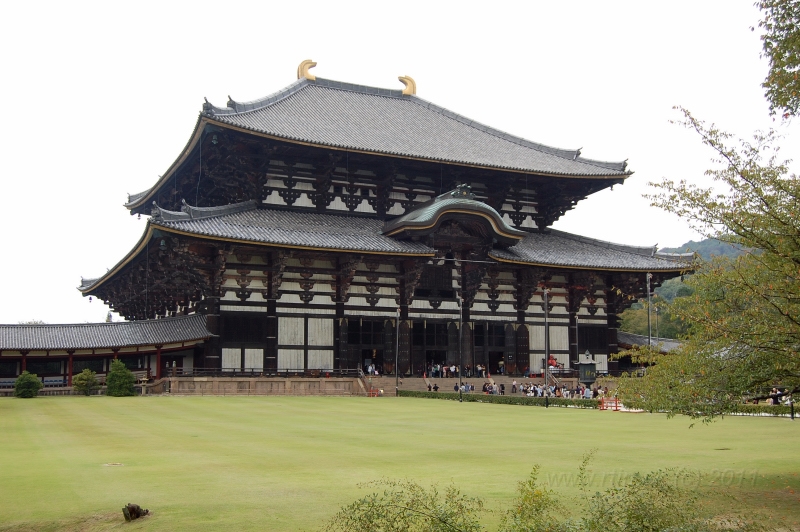 DSC_4232.JPG - Nara