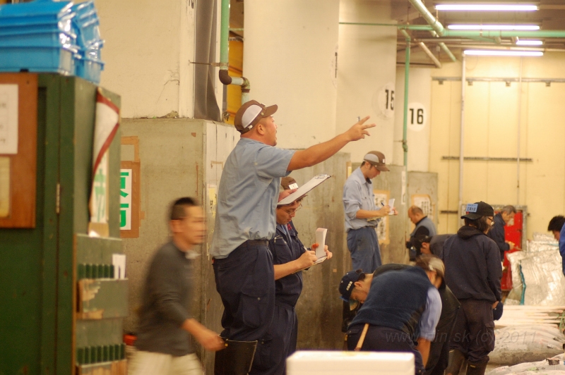 DSC_6005.JPG - Thuna auction, Tsukiji market