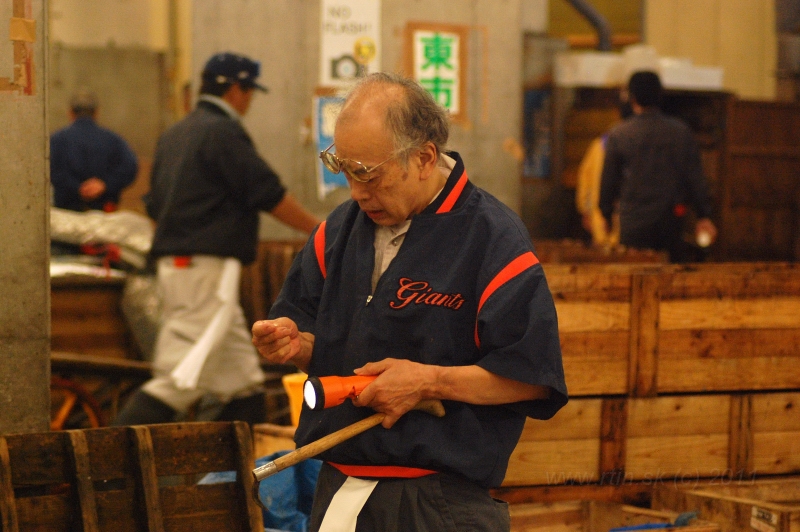 DSC_6025.JPG - Thuna auction, Tsukiji market