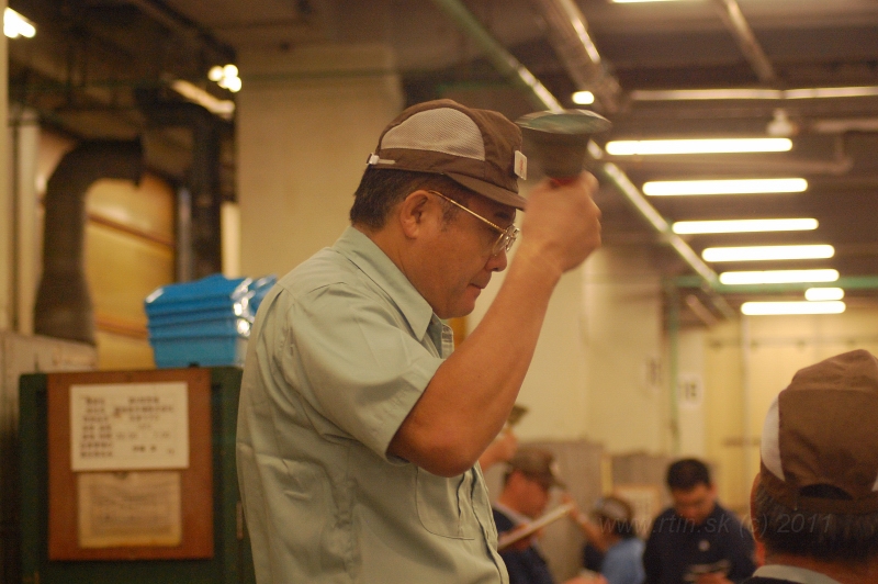 DSC_6039.JPG - Thuna auction, Tsukiji market