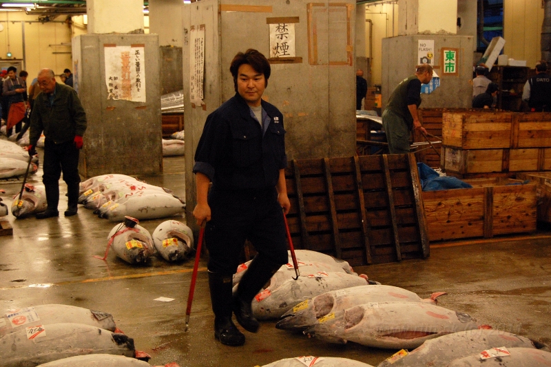 DSC_6096.JPG - Thuna auction, Tsukiji market