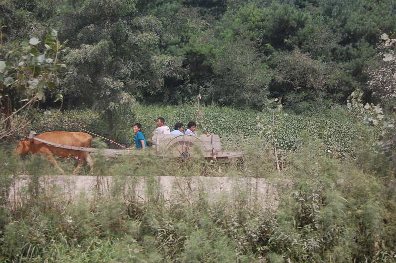 DSC_4595.JPG - North Korean country side