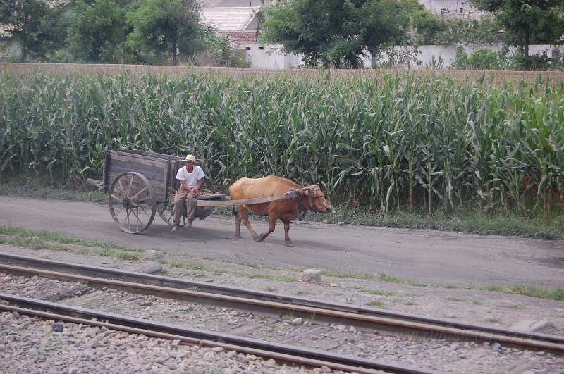 DSC_4604.JPG - country side